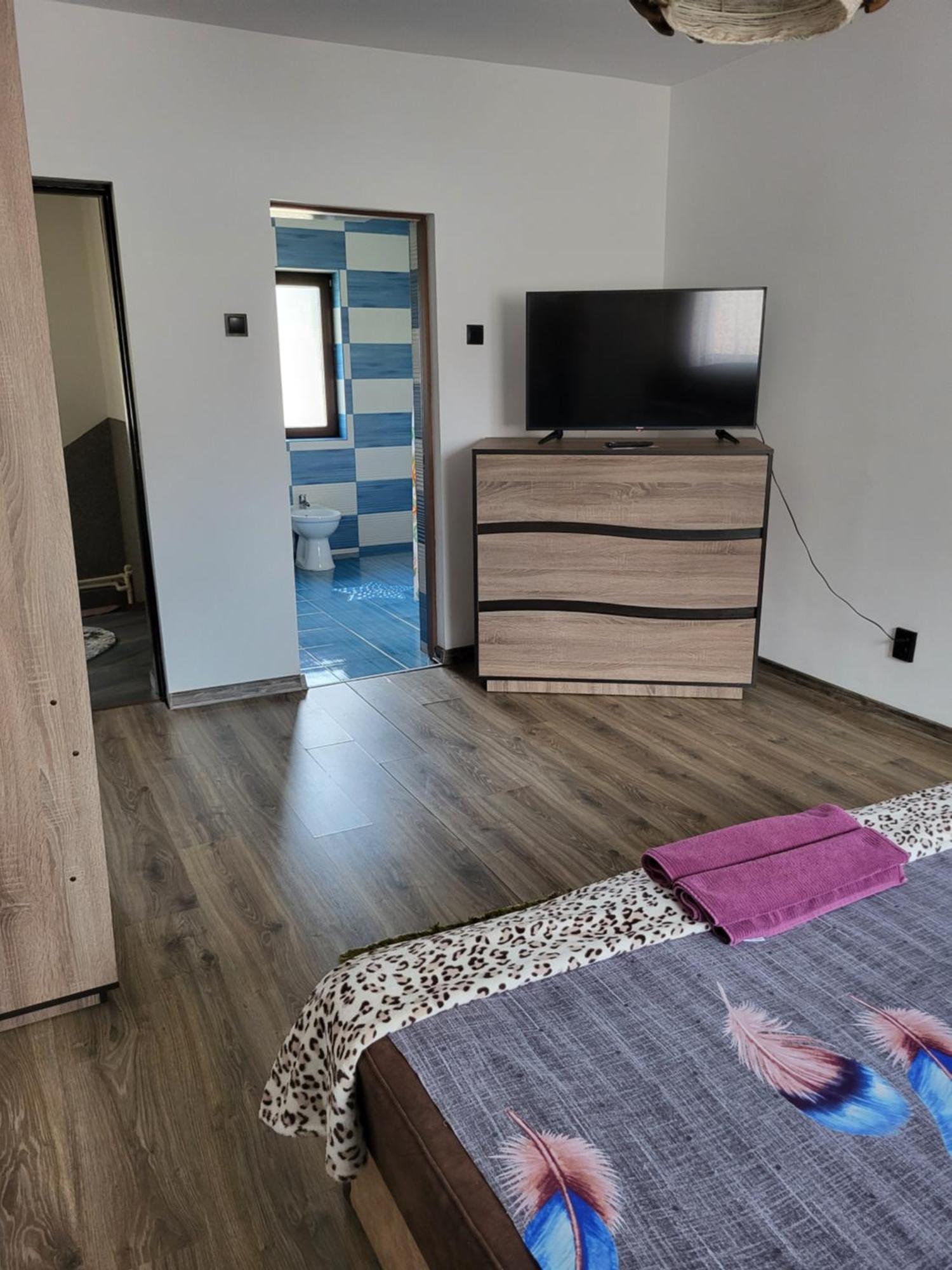 Casa Raraului Βίλα Câmpulung Moldovenesc Εξωτερικό φωτογραφία