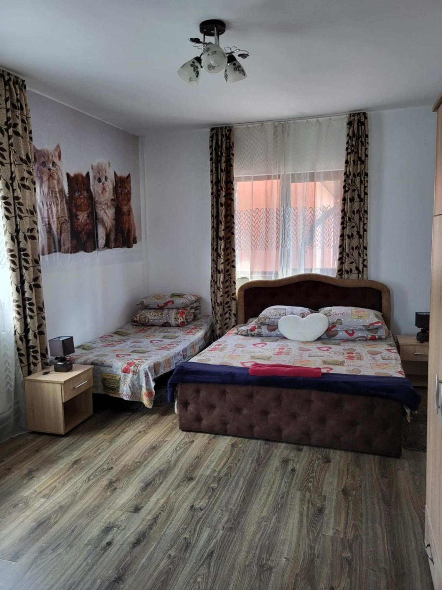 Casa Raraului Βίλα Câmpulung Moldovenesc Εξωτερικό φωτογραφία